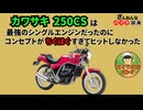 [最強シングルなのに…]カワサキの250CSが残念すぎる!![ざんねんなバイク辞典]