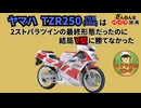 [パラツインの集大成なのに…]ヤマハのTZR250(3MA)が残念すぎる!![ざんねんなバイク辞典]