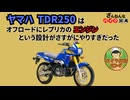 [ダブルの意味でレプリカなのに…]ヤマハのTDR250が残念すぎる!![ざんねんなバイク辞典]