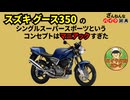 [僕だってスーパースポーツなのに…]スズキのグース350が残念すぎる!![ざんねんなバイク辞典]