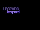 leopard /初音ミク