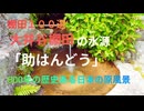 日本の棚田１００選【 大井谷の棚田（１）】史跡・水源「助はんどう」（たすけはんどう）　鹿足郡吉賀町白谷