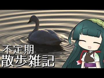 不定期散歩雑記_88 - 米子旅行(前) - 探鳥編