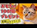 猫に大好きなおもちゃをいきなり100個プレゼントしてみた結果…
