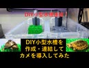 DIY小型水槽を作成・連結してカメを導入してみた【アクアポニックス】