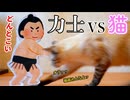 猫がお相撲さんと対決してみた結果…