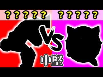 チーム【赤】VS チーム【桃】[中堅戦] 三位決定戦【カラー対抗戦 2026】～64スマブラCPUトナメ～