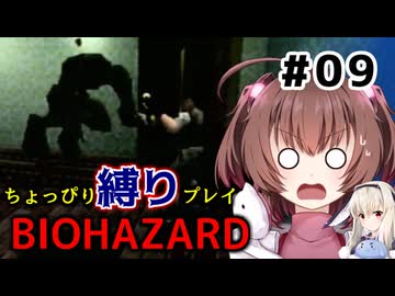 ちょっぴり縛りで【バイオハザード】を一人と一羽がプレイ part9