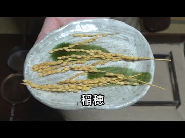 種とか【長火鉢とおっさん 435】