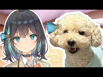 モカ（トイプードルのすがた）