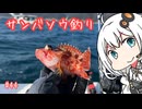 船に乗って瀬戸内海へ 「サンバソウ釣り」【VOICEROIDフィッシング】