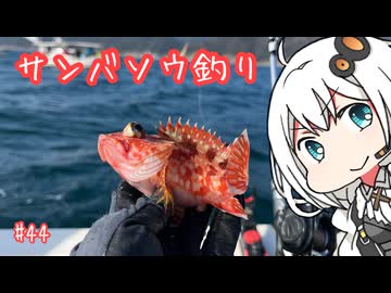 船に乗って瀬戸内海へ 「サンバソウ釣り」【VOICEROIDフィッシング】
