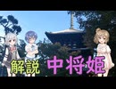 【Cevio車載】當麻寺/青蓮寺 中将姫伝説をたどる【さとうささら誕生祭2026】