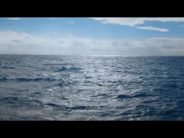 新しい学校のリーダーズ　Sailor Sail On Official Music Video