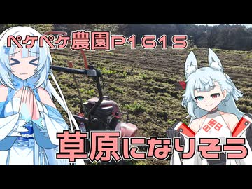 2026年1月24日　農作業日誌P1615　耕した後には木工所のお掃除をしてモチベアップ！