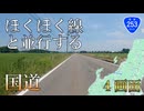 【全線走破】4画面バイク車載　国道253号　ほくほく街道　上越→南魚沼　2倍速