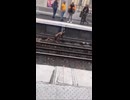 やじゅまんと見る鉄オタ
