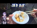 【VOICEROIDフィッシング・アジング】釣れなくても魚釣りは楽しめます