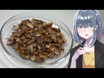 「ポルボロン(椿殻)」