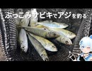 ぶっこみサビキでアジを釣る