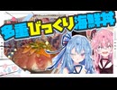 美味しんぼの『びっくり鉄火』って層を重ねればもっとラッキーなんちゃう？【琴葉姉妹・夏色花梨・小春六花・花隈千冬・紲星あかり】