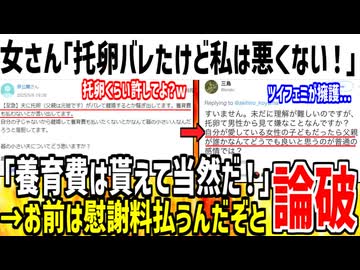 女さん「夫に托卵バレました。離婚したら養育費貰えますよね？」→お前は慰謝料払えと論破されてしまう...