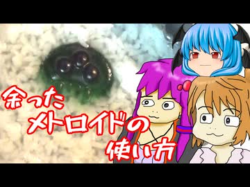 【お手軽料理】残り物のメトロイドが素敵な料理に変身♪