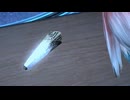 えおるじぇああ！影16-3