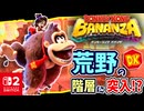 幻想的な荒野の階層？！バナナがいっぱい眠るエリアに突入します！【ドンキーコング バナンザ】