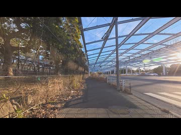 【散歩】東京都江東区新木場-若洲を歩く【2年ぶり東京ゲートブリッジリベンジするも強風過ぎた編 part5②】