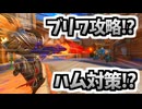 ブリワ攻撃解説がいつの間にかハム対策解説になってしまった動画#219【A.I.VOICE2音街ウナ】【オーバーウォッチ】ファラ解説