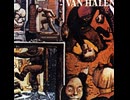 Van Halen - So This Is Love?