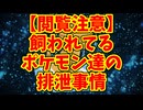【閲覧注意】飼われてるポケモン達の排泄事情
