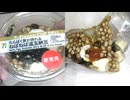 278円64銭のセブンイレブンのたんぱく質が摂れるなばねば温玉納豆を食べました。　#セブンイレブン　#納豆　#温玉　#たんぱく質