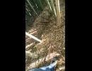 全盛期のK1ファィターのアーネストホーストのハイキックを真似てみたが、そもそも相手の頭部の位置まで足が上がらなかった【この時44歳の一般人】