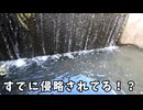 ザリガニで溢れていた楽園は「奴」によって……もう…【琵琶湖ガサガサ探検記52】