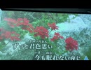 カラオケ「君色思い」SMAP