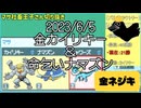 【マサネジキ】金カイリキー＆命乞いナマズン【2023/6/5】