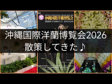 沖縄国際洋蘭博覧会 2026 散策してきた♪