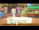 あつまれどうぶつの森　ハロウィンイベント　カボチャの育て方とは！？ハロウィン家具のＤＩＹに必要！　＃４１４　【あつ森】
