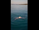 やじゅまんと見る浮きすぎ