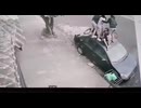 やじゅまんと見る野犬先輩