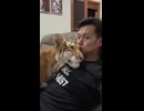 やじゅまんと見るペット