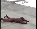 やじゅまんと見るすべ