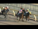 2016 根岸ステークス(GIII)　モーニン