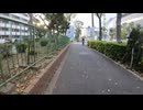 【環七】TOKYO  cycling Adachiku 足立区 環七内回り青井付近から梅島付近ドンキまで走る2022_11_5 〜自転車で見る日本