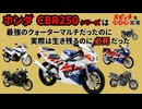 [中型フラッグシップの運命]ホンダのCBR250シリーズが大ピンチすぎる!![大ピンチなバイク図鑑]
