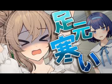 空を飛べたらいいのに。足元寒いから。【ソフトウェアトーク劇場】