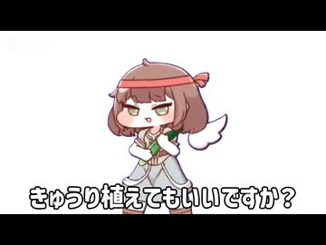 きゅうりvsお正月