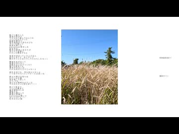 右手の方に渦！/重音テト